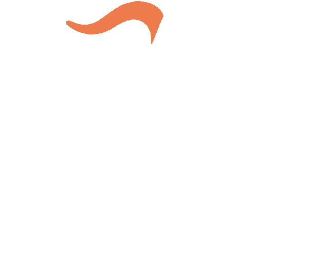 VN Dental Clinic